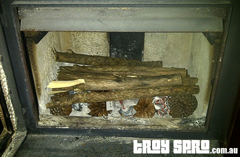 Fire Starting for Beginners or How to Start a Fire in a Fireplace