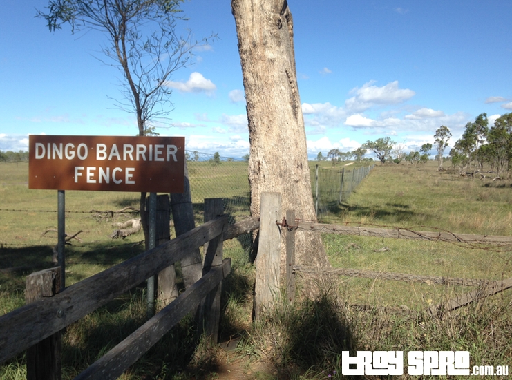 Dingo Barrier Fence, Queensland starting point of the fence