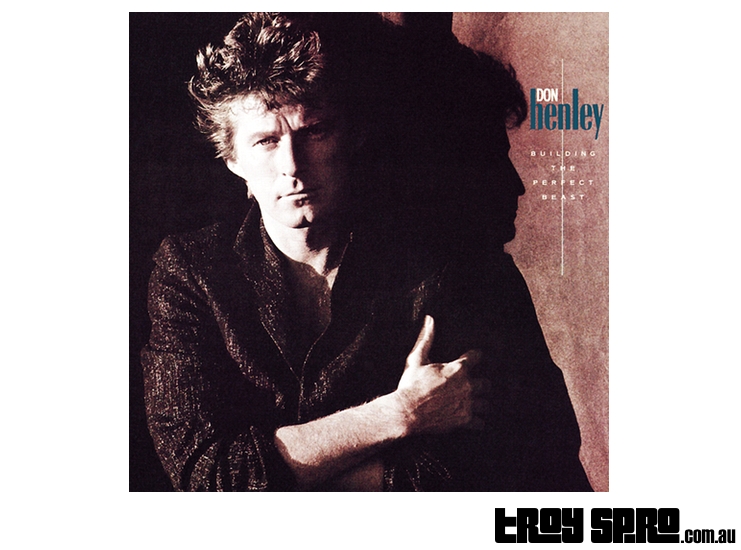 Play Boys of Summer by Don Henley on Guitar