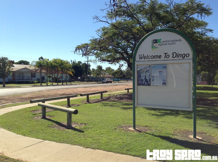 Welcome to Dingo in Queensland