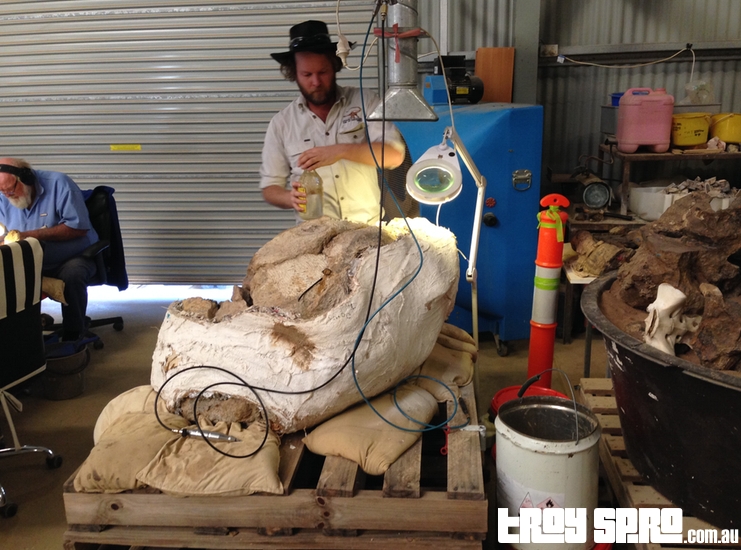 Preparing the Dinosaur Fossils at the Age of Dinosaurs Winton Queensland