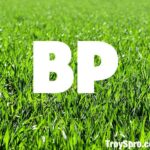 What does BP mean in Rugby Union Football