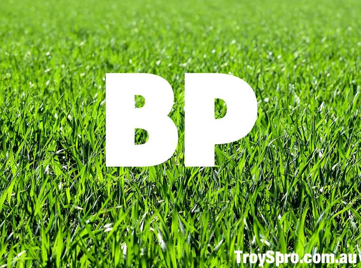 What does BP mean in Rugby Union Football