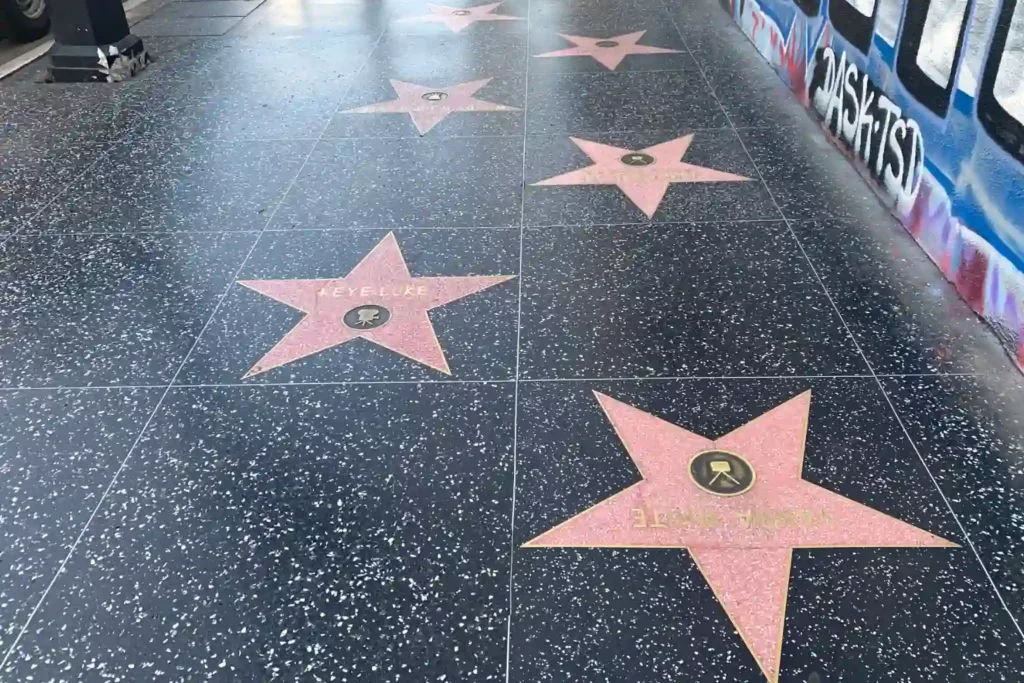 Hollywood Stars in LA - One Day in Los Angeles