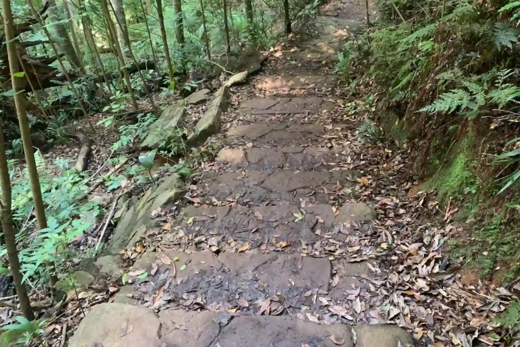 Maiala Walking Tracks Downhills Paths