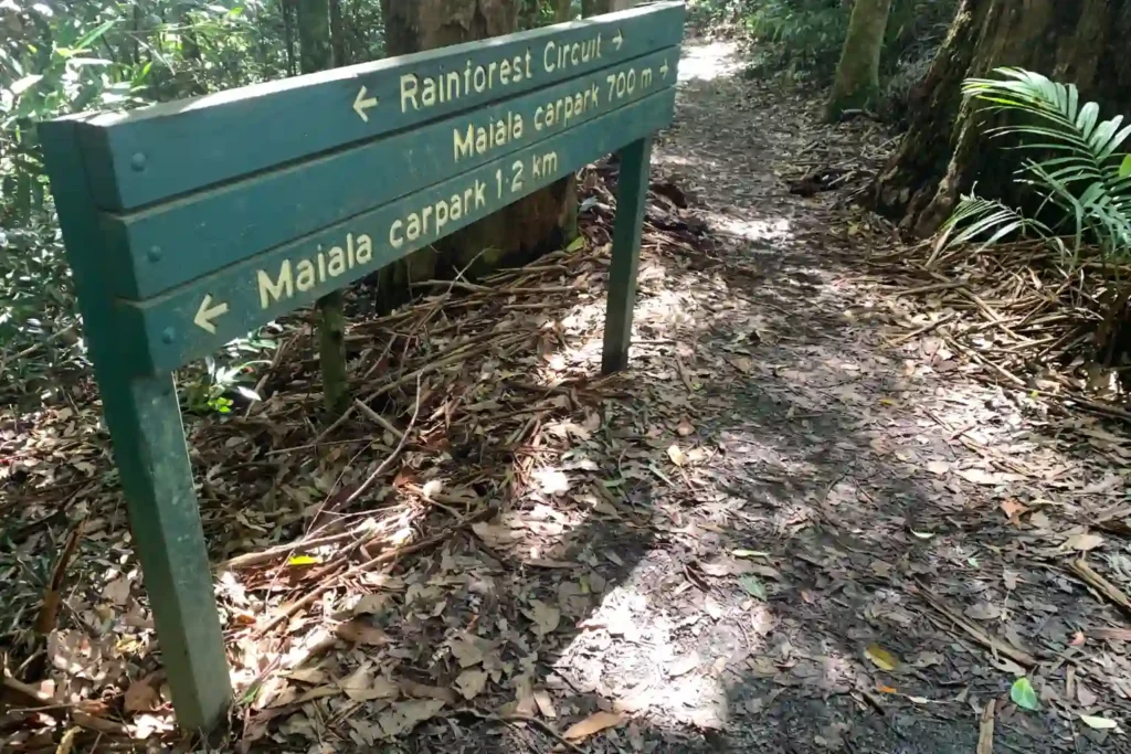 Maiala Walking Tracks Go To Car Parks