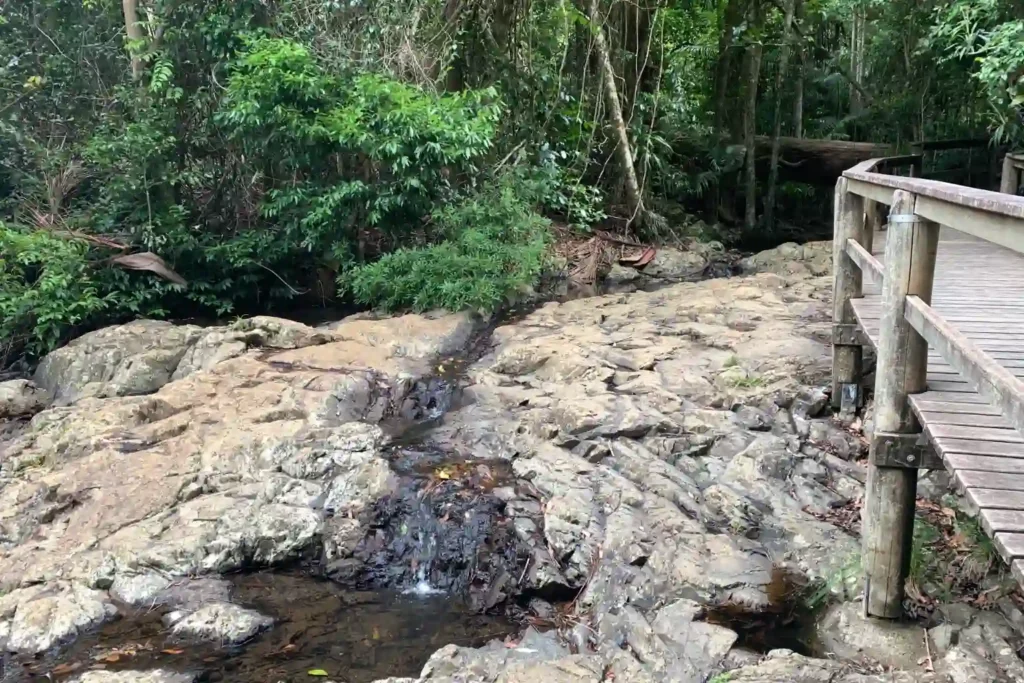 Maiala Walking Tracks Greene Falls Walkway