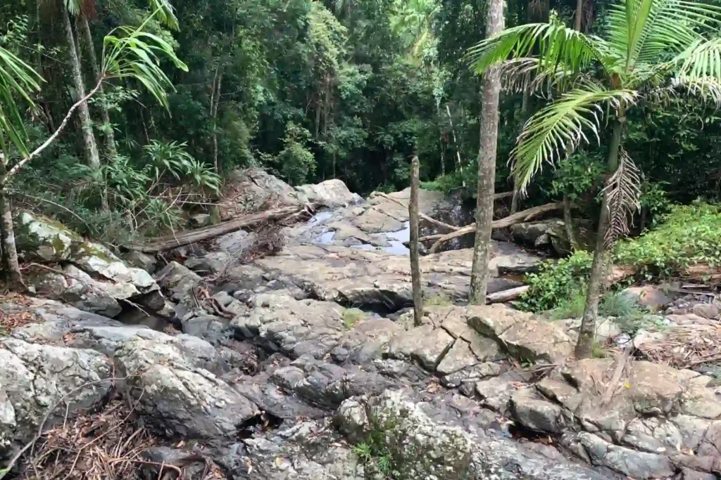 Maiala Walking Tracks Overlooking Greene Falls
