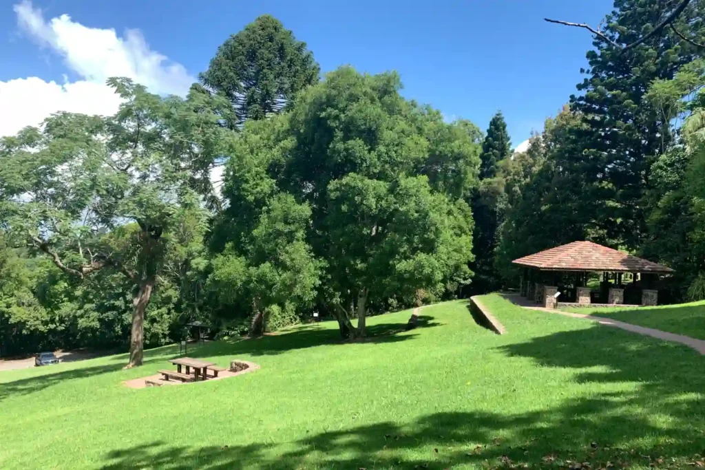 Maiala Walking Tracks Picnic Area