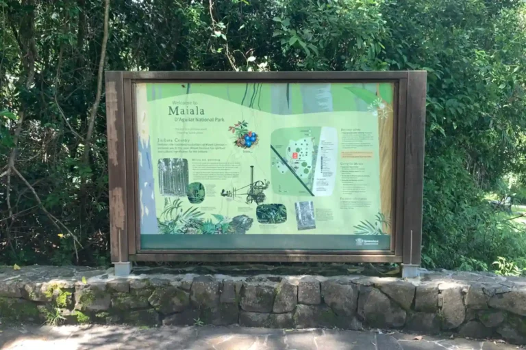 Maiala Walking Tracks The Best Rainforest Hikes at Mt Glorious