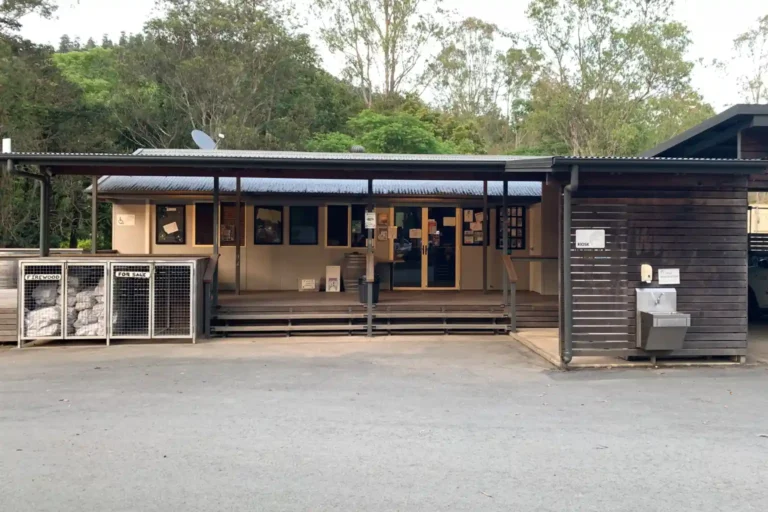 Camping at Borumba Deer Park: The Complete Visitor Guide