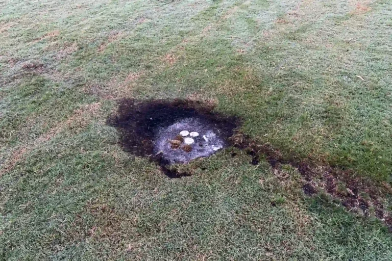 Narangba Easter Explosion Crater from Explosion